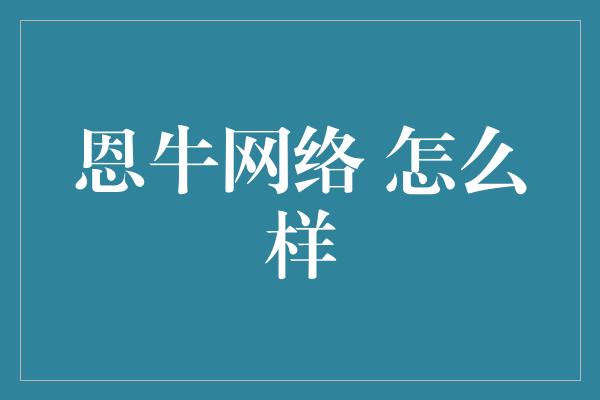 恩牛网络 怎么样