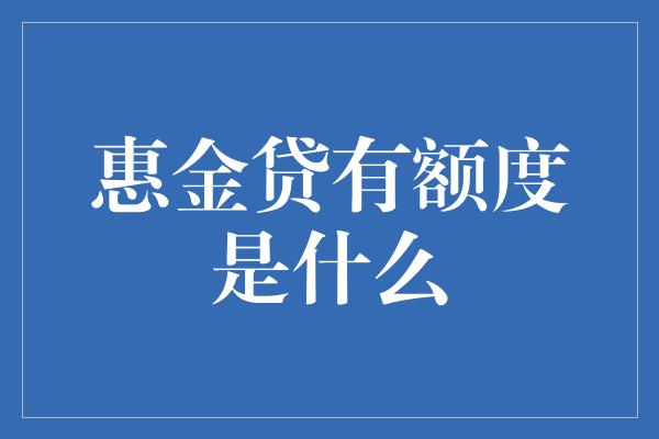 惠金贷有额度是什么