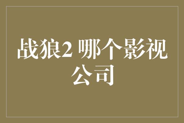 战狼2 哪个影视公司