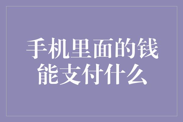 手机里面的钱能支付什么