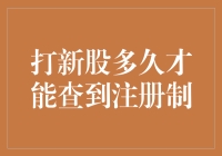 打新股注册制查询期限：从申购到解禁的全流程解析