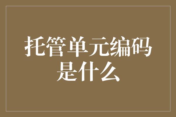 托管单元编码是什么