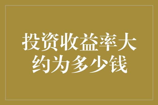 投资收益率大约为多少钱