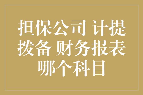 担保公司 计提拨备 财务报表哪个科目