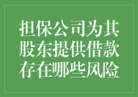 担保公司为其股东提供借款存在哪些风险：从法律与业务角度分析