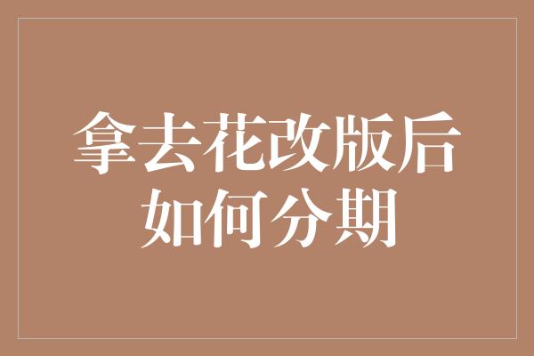 拿去花改版后如何分期