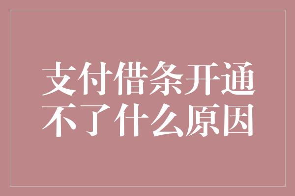 支付借条开通不了什么原因