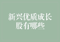 2023年新兴优质成长股的探索与分析