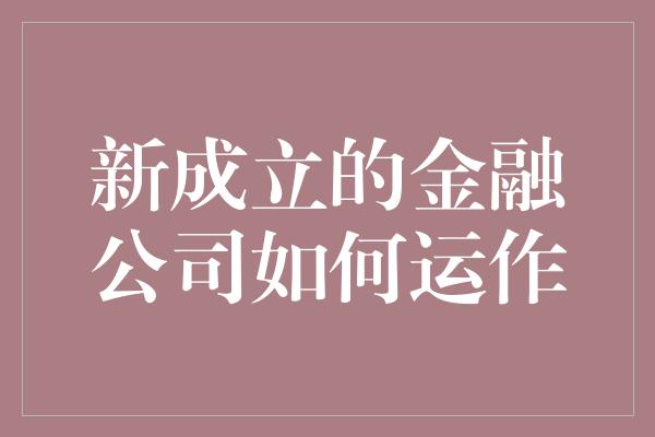 新成立的金融公司如何运作