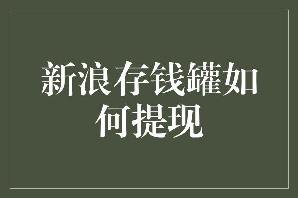 新浪存钱罐如何提现