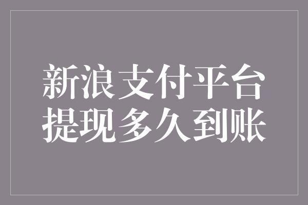 新浪支付平台提现多久到账