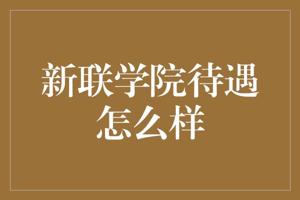 新联学院待遇怎么样