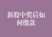 新股中奖后，缴款攻略：如何在银行网点与银行账户间灵活切换