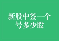 新股中签一个号代表多少股：投资新手必读指南