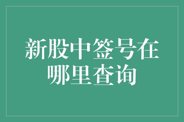 新股中签号在哪里查询