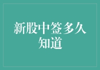 新股中签结果公布时间的探索与解析