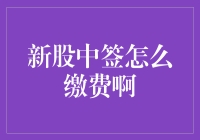 投资新手的神奇之旅：新股中签怎么缴费啊？