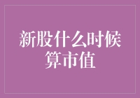 新股市场价值评估：从定价到交易的复杂旅程