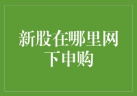 新股在哪里网下申购：一场充满神秘感的寻宝游戏