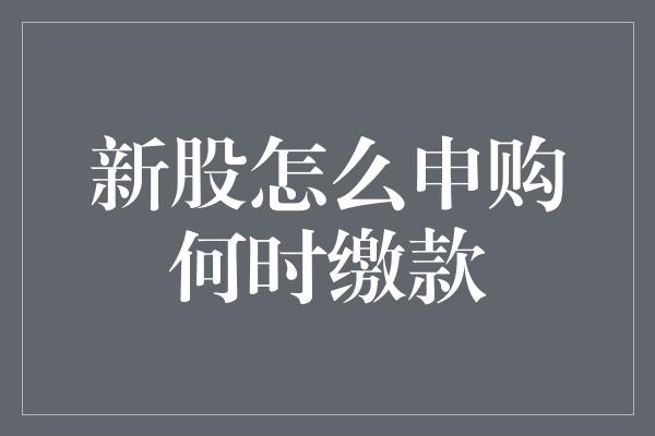 新股怎么申购何时缴款