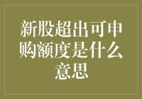 新股申购狂潮：当普通股民遇上超出可申购额度的魔咒