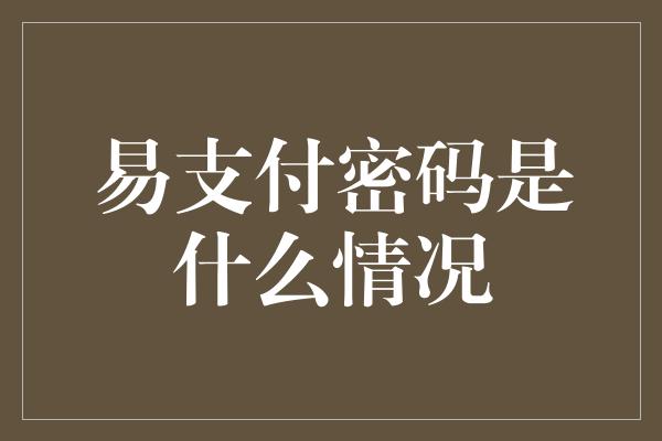 易支付密码是什么情况