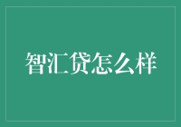 智汇贷？这名字听着就像是我能用智商换贷款似的！