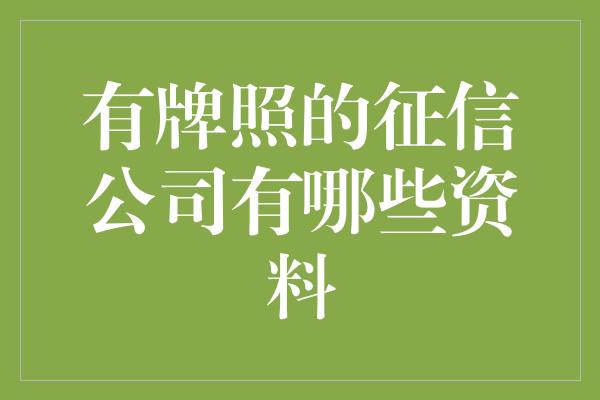 有牌照的征信公司有哪些资料