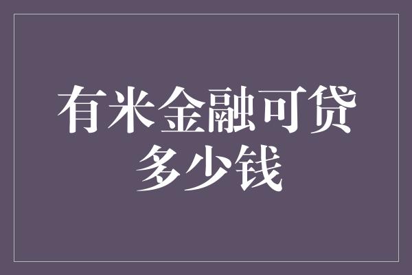 有米金融可贷多少钱