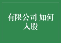 有限公司如何通过系统化的程序正确入股：策略与注意事项