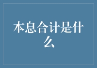 本息合计：解读负债与财务健康的钥匙