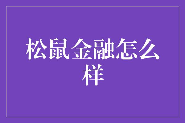 松鼠金融怎么样