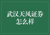 武汉天风证券：国际视野下的本土力量