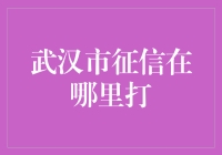 在武汉市，征信查询攻略：如何优雅避开征信小白标签