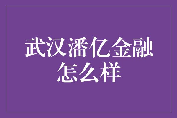 武汉潘亿金融怎么样