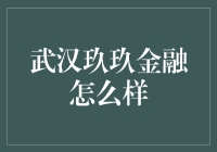 武汉玖玖金融：你的钱袋子的小甜甜还是大公害？