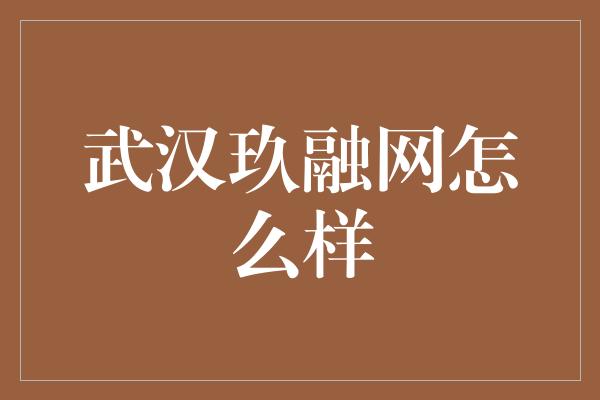 武汉玖融网怎么样