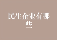 民生企业的多元化：构建稳定经济社会的基石