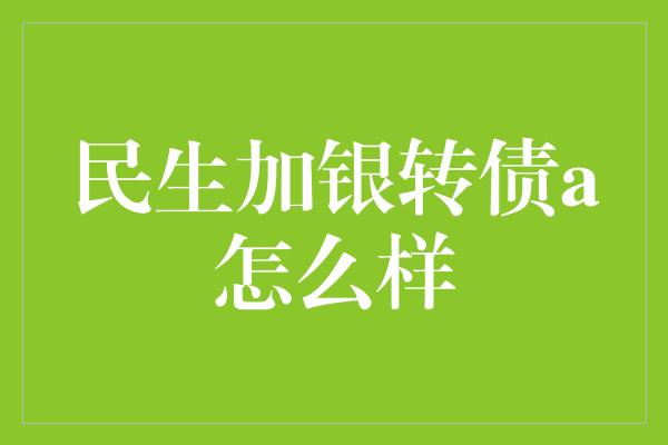 民生加银转债a怎么样