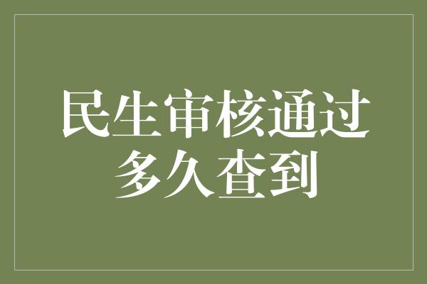 民生审核通过多久查到