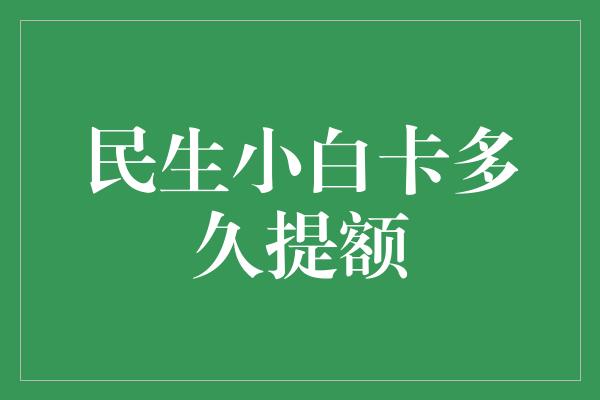 民生小白卡多久提额