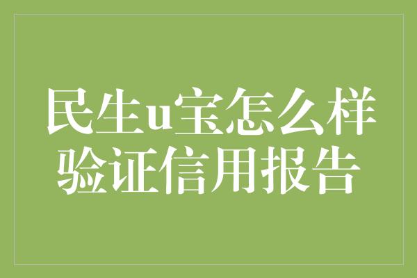 民生u宝怎么样验证信用报告