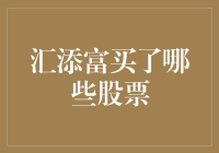 汇添富的股票投资策略及持股分析：多角度解读其稳健的投资轨迹