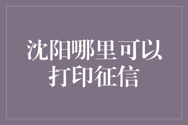 沈阳哪里可以打印征信