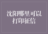 沈阳如何高效打印个人征信报告？详细指南来了！