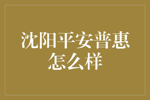 沈阳平安普惠怎么样