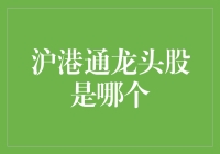 沪港通龙头股是哪个？揭秘投资机会！