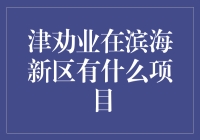 津劝业在滨海新区的海底捞月项目：一探究竟！