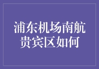 浦东机场南航贵宾区：商务出行的高端体验