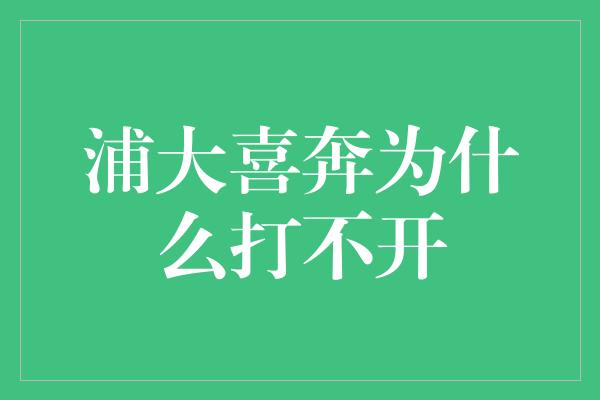 浦大喜奔为什么打不开